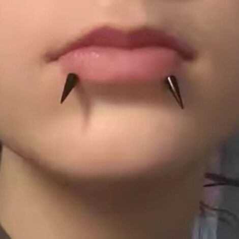 Labret Stud with Spike Tops for Lip, Cartilage, Vertical Helix - Image 6