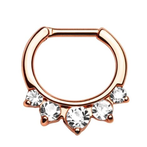 Septum Daith Straight Hinged Clicker with Princess Drop CZ Ring - Image 2