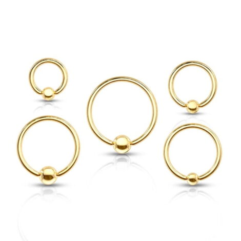 316L Steel Captive Bead Ring With IP Gold Titanium - Image 2