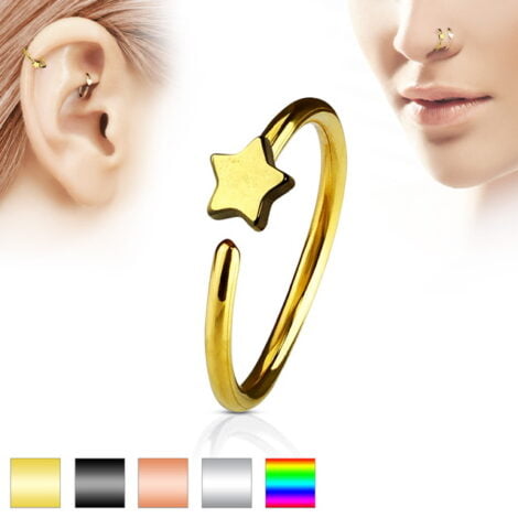 Hoop Nose Ring W/ Star Top In IP Titanium Colours