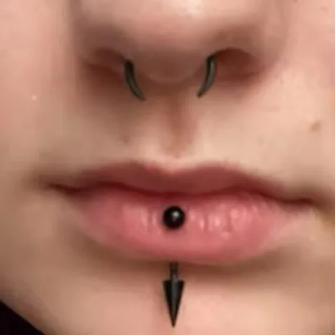 Ear Or Septum Pincher Buffalo Rings in Anodised Colours 16G-12G - Image 2