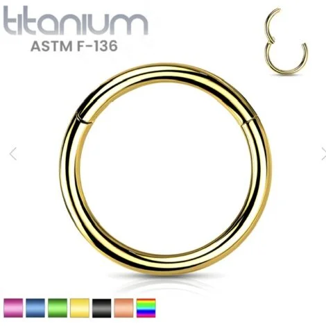 Hinged Segment Hoop Ring Titanium ASTM F-136 PVD Colours