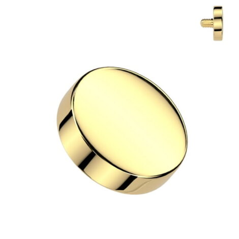 Round Flat Disc Dermal Top Internally Threaded In IP Colours - Image 9