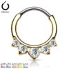 Septum Daith Round Clicker Ring 14KT Plated with Drop CZ