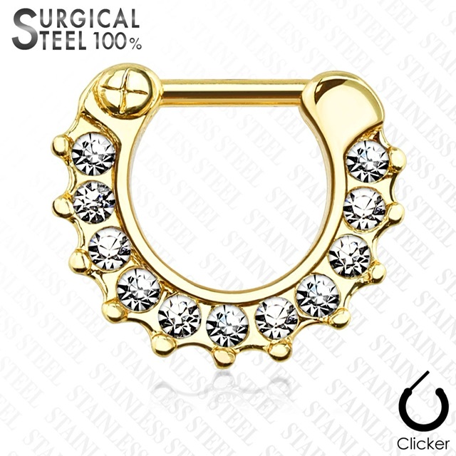 Septum Daith Straight Clicker All 316L Surgical Steel 11 CZ Set Ring