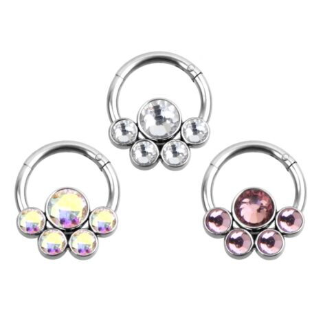 Hinged Segment Ring Lined With Five CZ Gems, Daith Septum - Image 1
