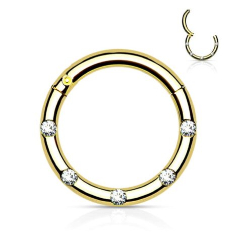 Hinged Hoop Segment Ring with 5 Flush Set Forward Crystals - Image 3