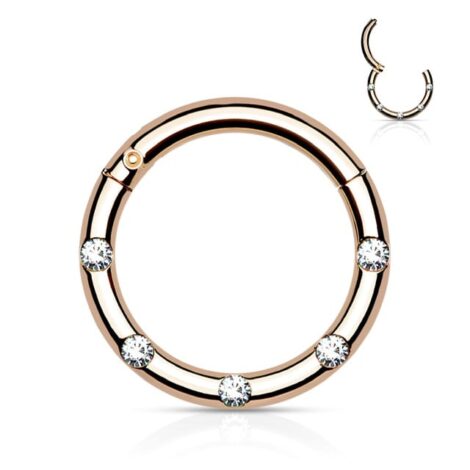 Hinged Hoop Segment Ring with 5 Flush Set Forward Crystals - Image 9