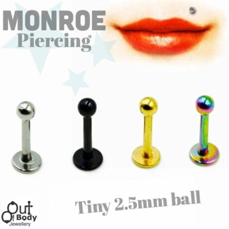 2.5mm Small Ball Top Monroe/ Labret In Colourful Titanium