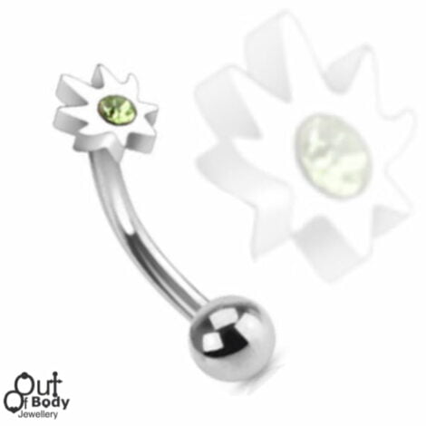Curved Barbell Rook Eyebrow W/ Crystal Set Leaf