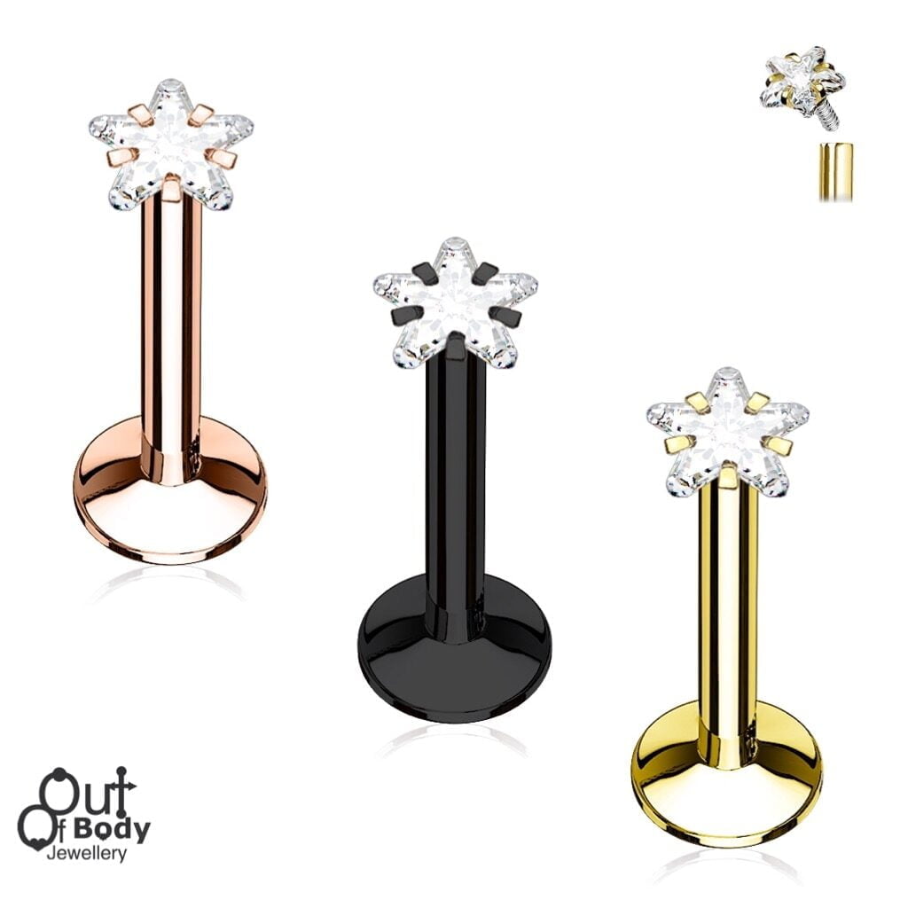 Ear Cartilage Stud Prong Set Star CZ Top in IP Titanium