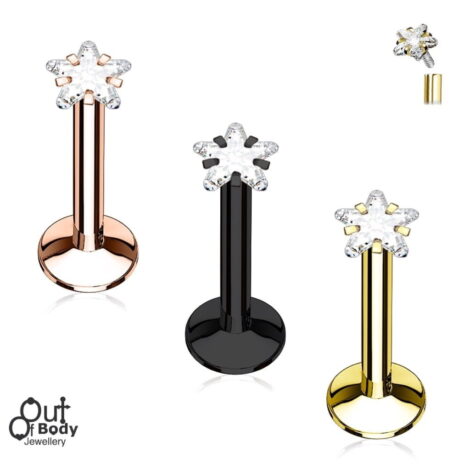 Ear Cartilage Stud Prong Set Star CZ Top in IP Titanium