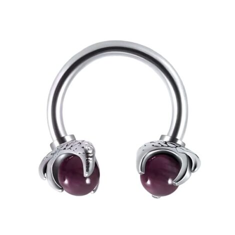 316L Surgical Steel Dragon Claw with Stone Threaded Horseshoe Barbell - Image 9