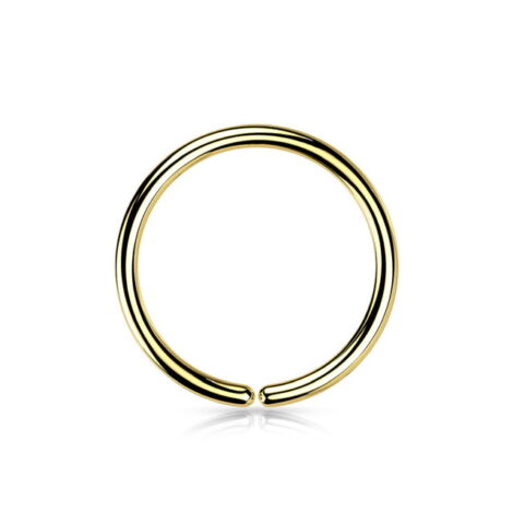 ASTM Implant Grade Titanium Seamless Hoop Ring PVD Plated - Image 6