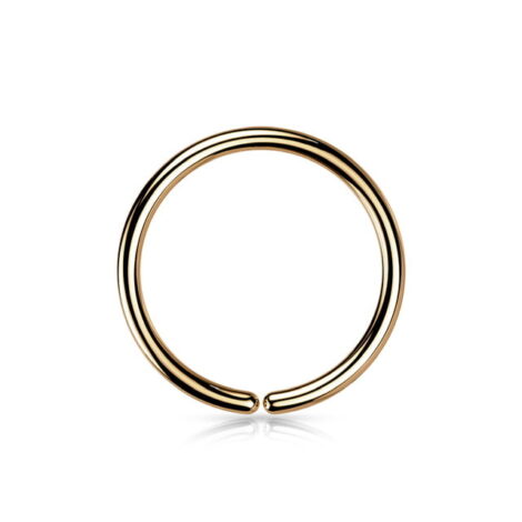 ASTM Implant Grade Titanium Seamless Hoop Ring PVD Plated - Image 4