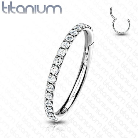 Titanium Hinged Segment Ring With Outward Facing Pave CNC Set CZ - Image 2