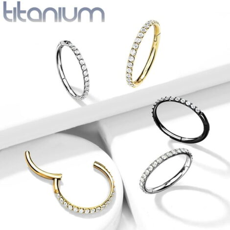 Titanium Hinged Segment Ring With Outward Facing Pave CNC Set CZ - Image 3