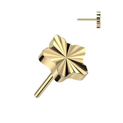 Implant Grade Titanium Threadless Push In Diamond Cut Star Top - Image 2