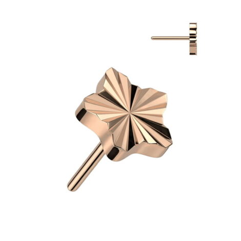Implant Grade Titanium Threadless Push In Diamond Cut Star Top - Image 5
