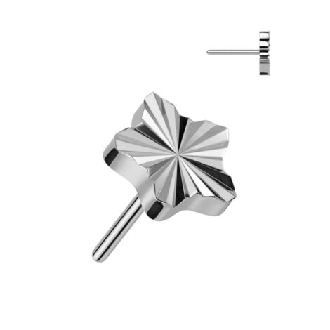 Implant Grade Titanium Threadless Push In Diamond Cut Star Top - Image 3