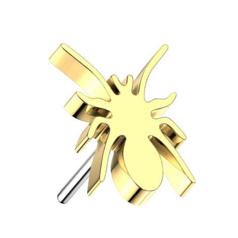 Implant Grade Titanium Threadless Push In Flat Spider Top - Image 5