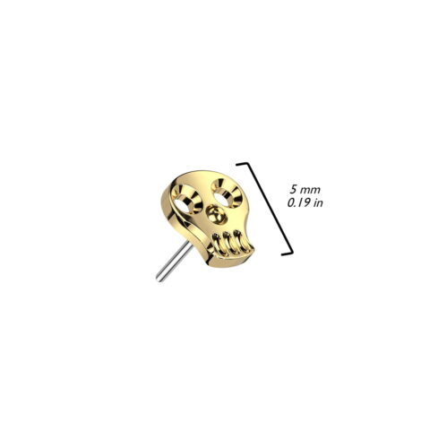 Implant Grade Titanium Threadless Push In Hollow Skull Top - Image 2