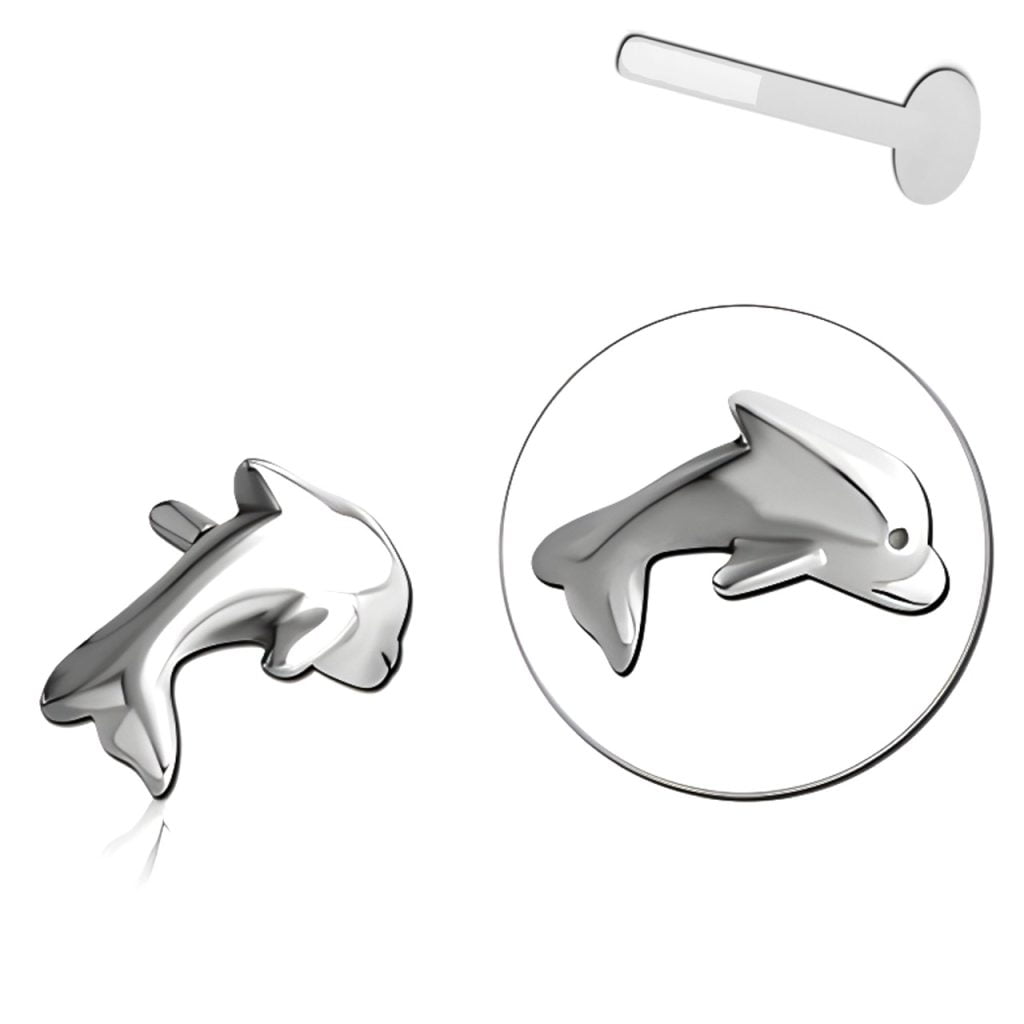 BioFlex Labret Attachment, Dolphin Push Fit Top