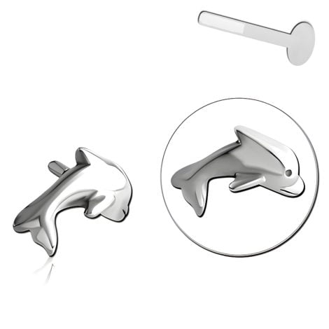 BioFlex Labret Attachment, Dolphin Push Fit Top
