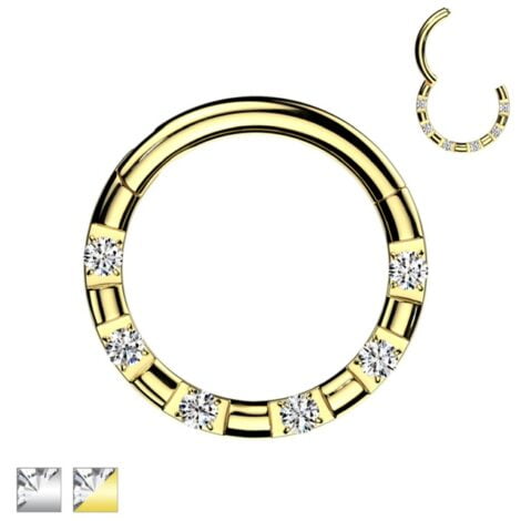 High Quality Precision Hinged Segment Ring With 6 Forward Facing CNC Set CZ