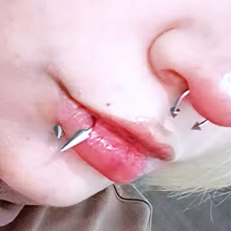 Horseshoe with Spike and Cone Ends Cartilage, Septum, Lip Ring - Image 3