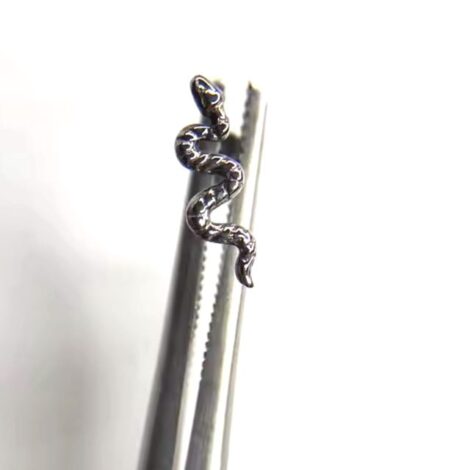 ASTM Titanium Labret with Snake Top Internally Threaded - Image 7