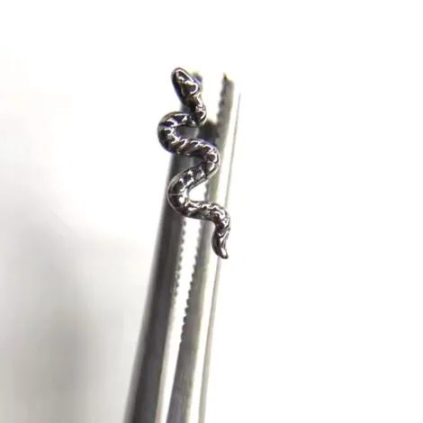 ASTM Titanium Labret with Snake Top Internally Threaded - Image 7