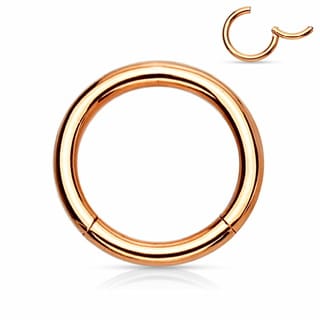 Hinged Segment Hoop Ring Titanium ASTM F-136 PVD Colours - Image 12
