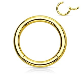 Hinged Segment Hoop Ring Titanium ASTM F-136 PVD Colours - Image 9
