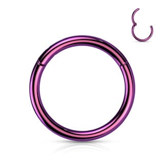 Hinged Segment Hoop Ring Titanium ASTM F-136 PVD Colours - Image 14