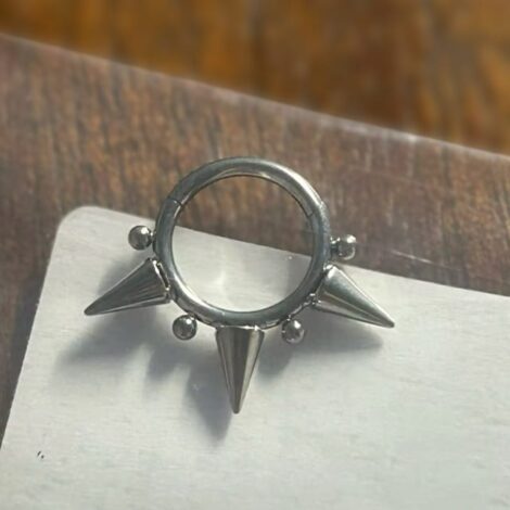Hinged Segment Ring Lined with Spikes and Micro Balls - Image 6
