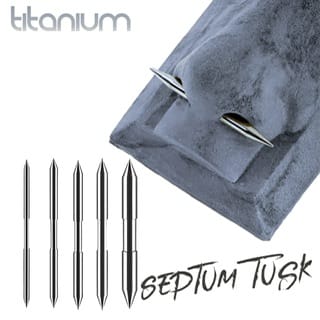 ASTM Titanium Septum/ Ear Tusk Straight Taper with Spike Ends