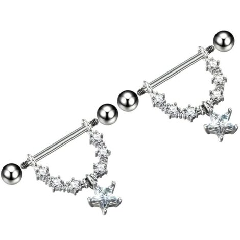 14G Nipple Ring Pair with Gem Shield and Star Dangle - Image 2