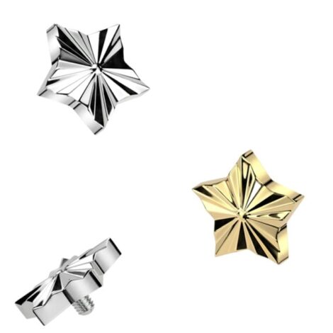 Implant Grade Titanium Diamond Cut Star Top Dermal Internally Threaded - Image 2