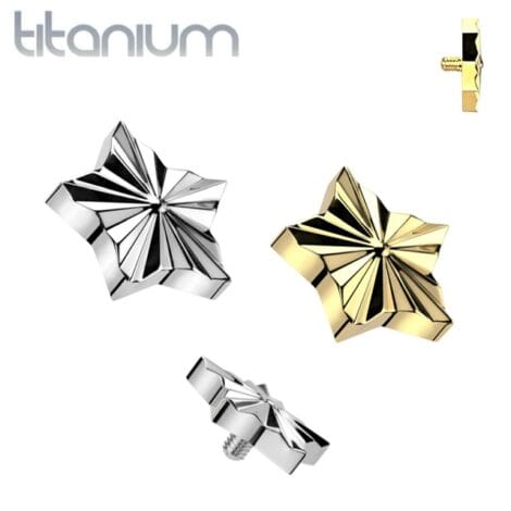 Implant Grade Titanium Diamond Cut Star Top Dermal Internally Threaded