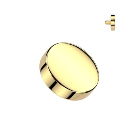 Implant Grade Titanium Flat Round Top Dermal/ Spare Internally Threaded - Image 4
