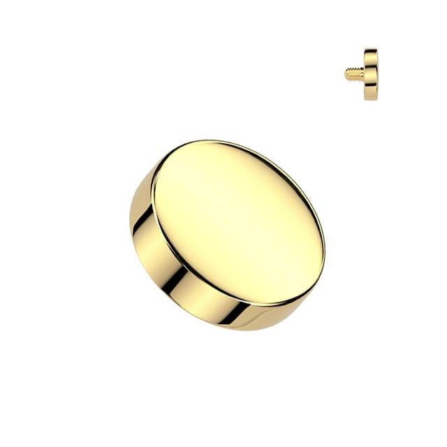 Implant Grade Titanium Flat Round Top Dermal/ Spare Internally Threaded