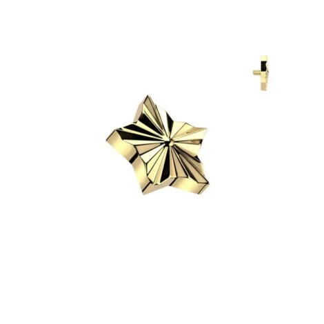 Implant Grade Titanium Diamond Cut Star Top Dermal Internally Threaded - Image 5
