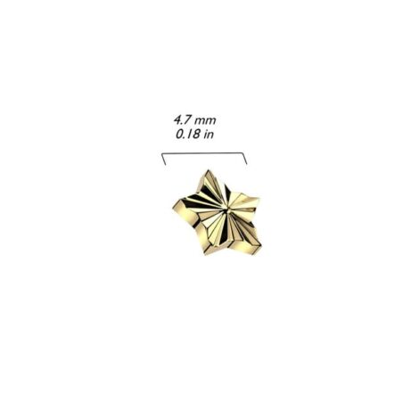 Implant Grade Titanium Diamond Cut Star Top Dermal Internally Threaded - Image 3