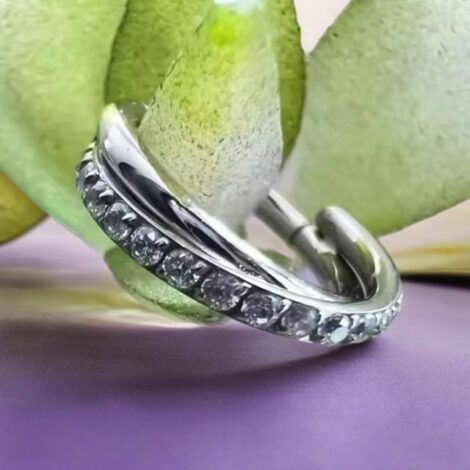 Implant Grade Titanium Hinged Criss-Cross Segment Ring Crystal Paved - Image 2