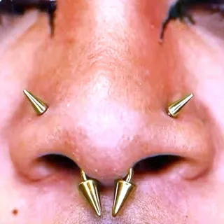 20G Spike Top, Screw and L-Bend Nose Rings - Image 5